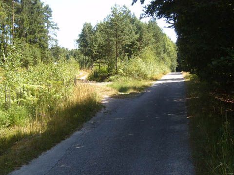 Foto 28